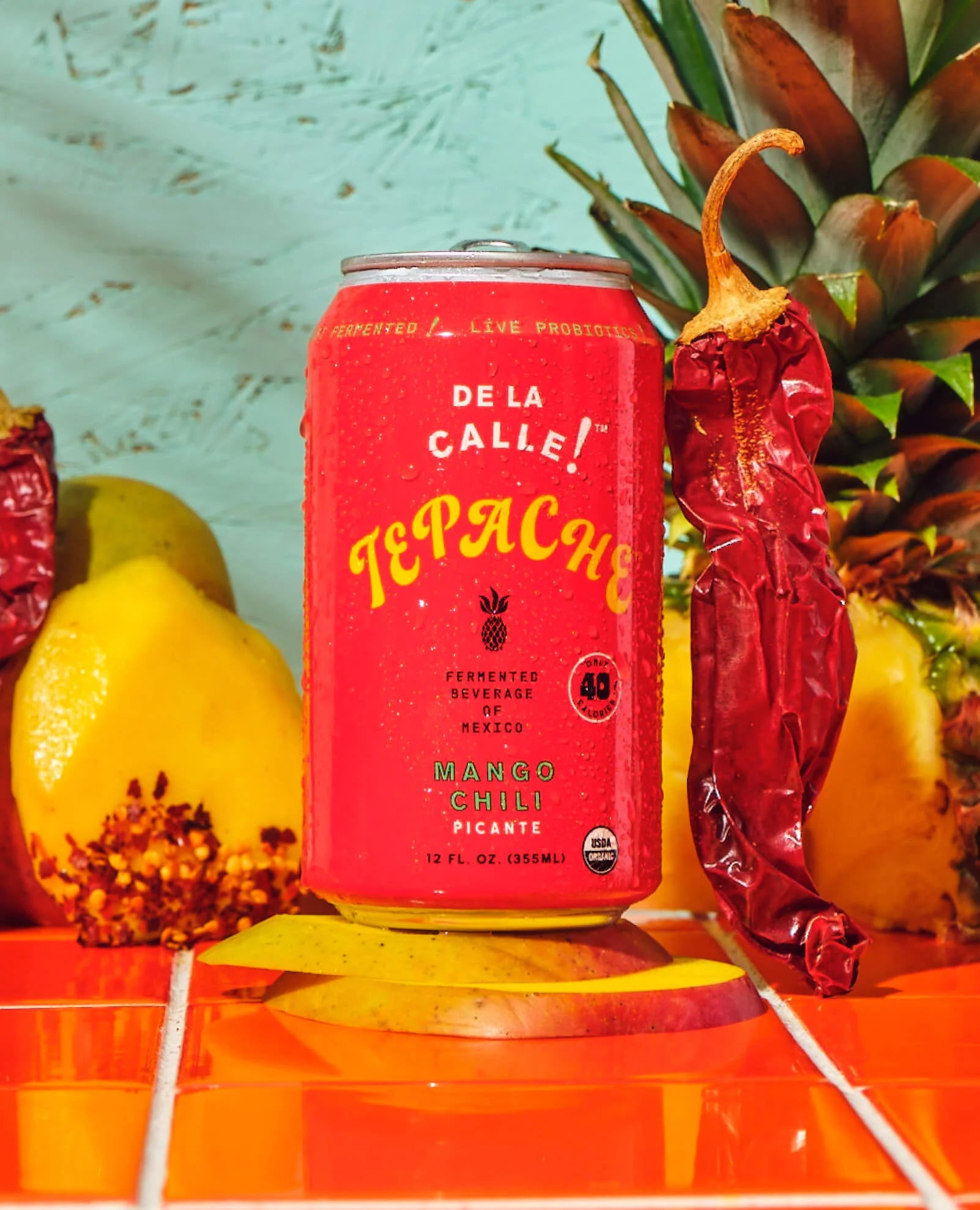 De La Calle! Tepache Mango Chili Picante 12oz Can-0