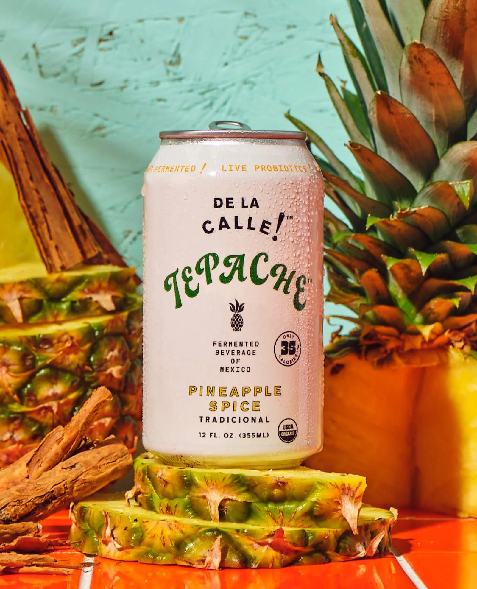 De La Calle! Tepache Jamaica Citrus 12oz Can-0