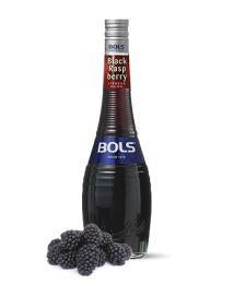 Bols Black Raspberry 1L-0